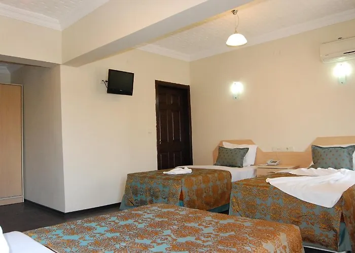 Hotel Duatepe Polatlı